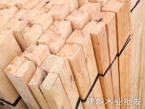 本地松木 本地松木